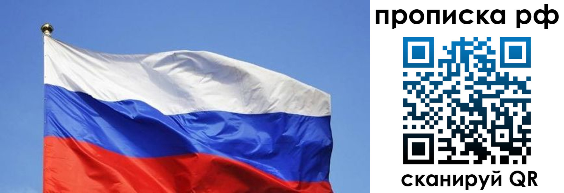 прописка поиск в Павловском Посаде